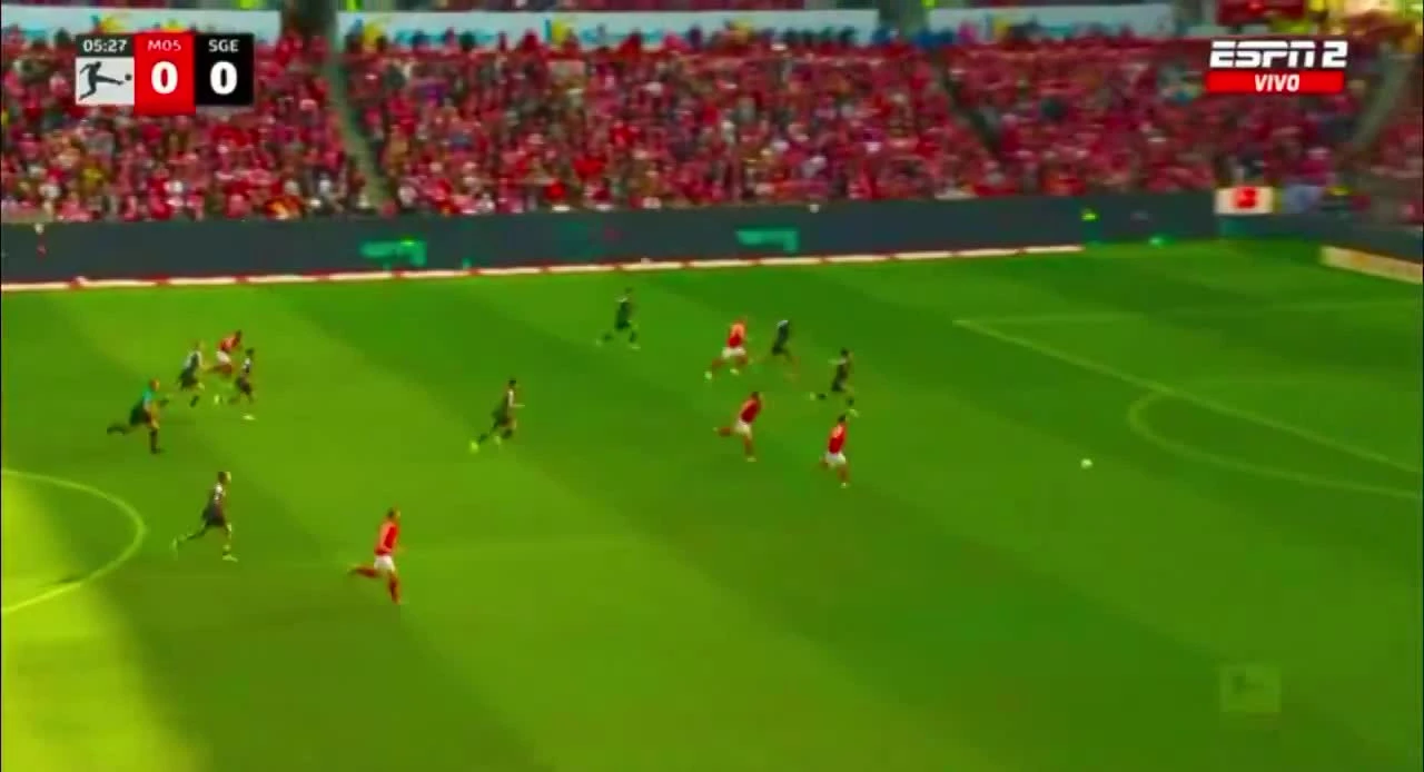 zaslepka skrotu video