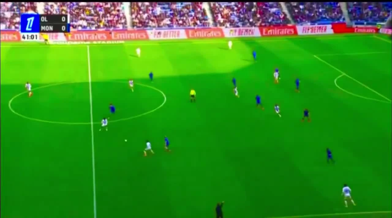 zaslepka skrotu video