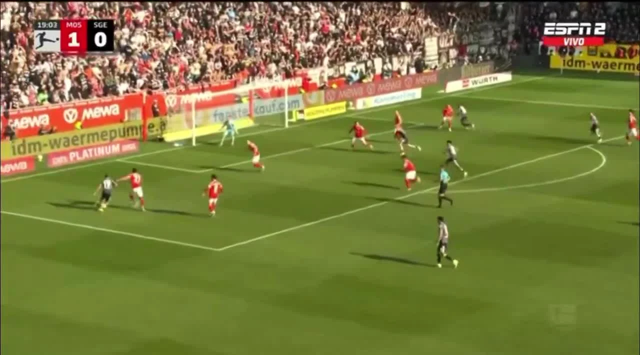 zaslepka skrotu video