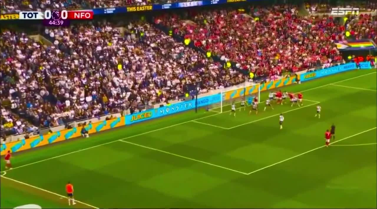 zaslepka skrotu video