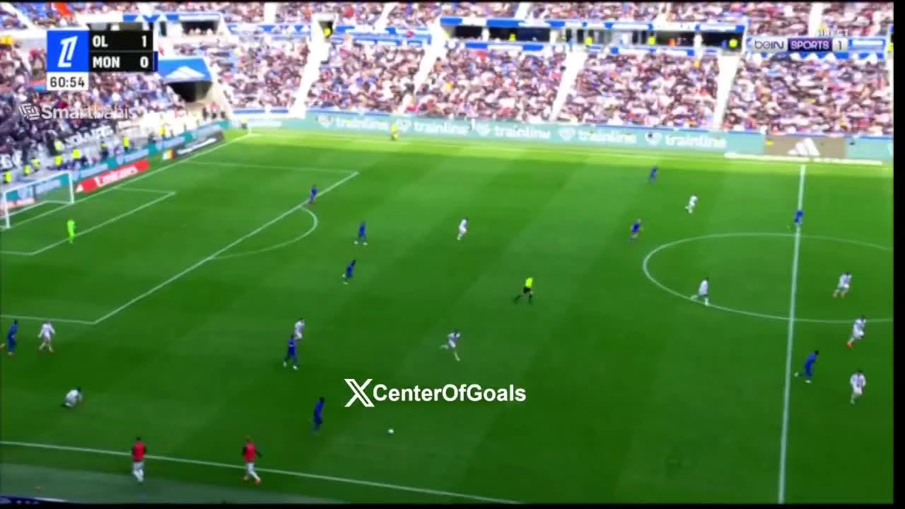 zaslepka skrotu video