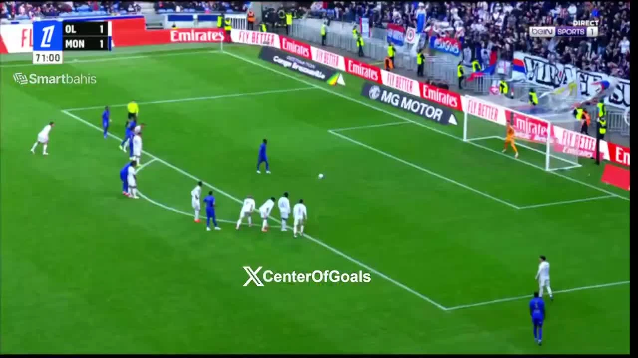 zaslepka skrotu video