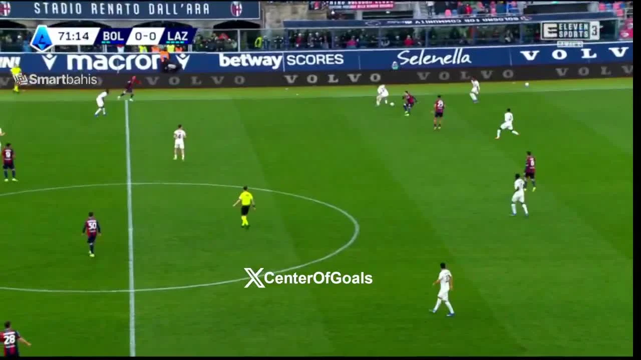 zaslepka skrotu video