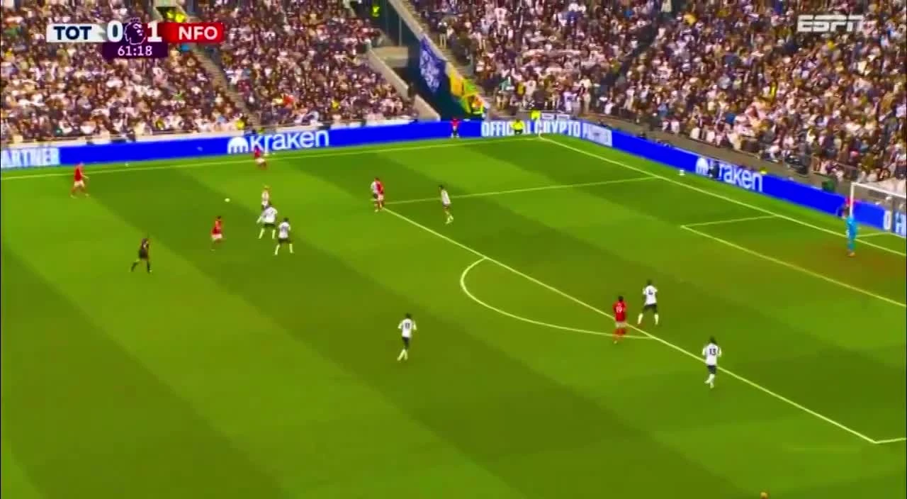 zaslepka skrotu video