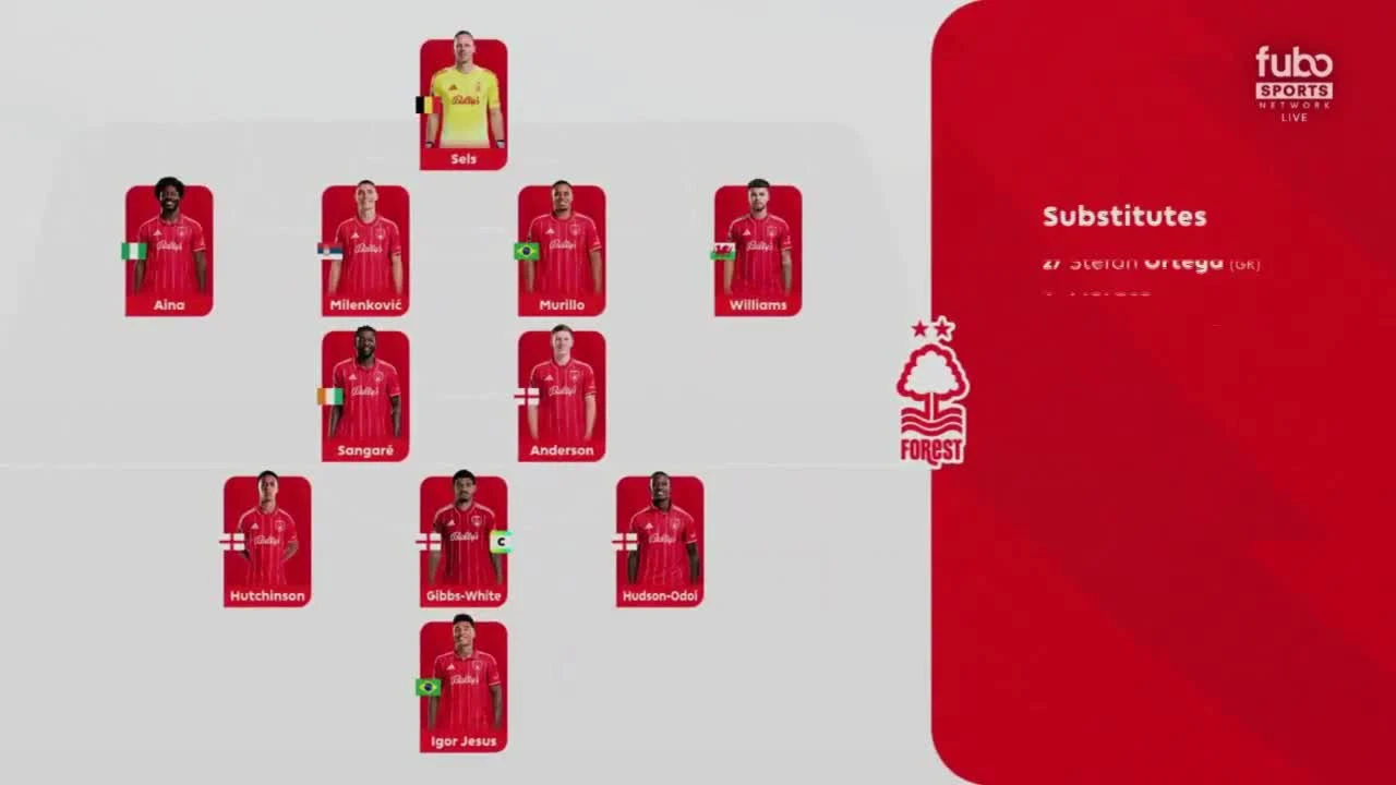 zaslepka skrotu video