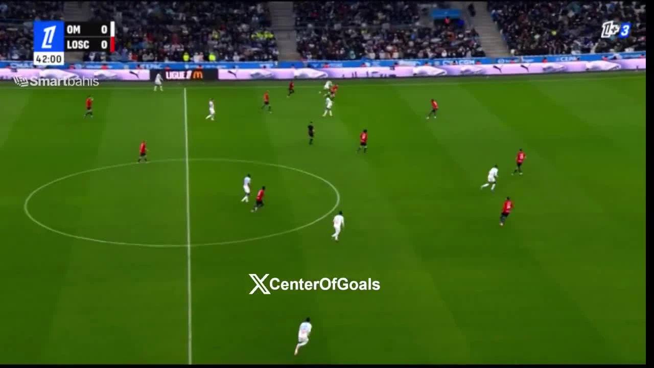 zaslepka skrotu video