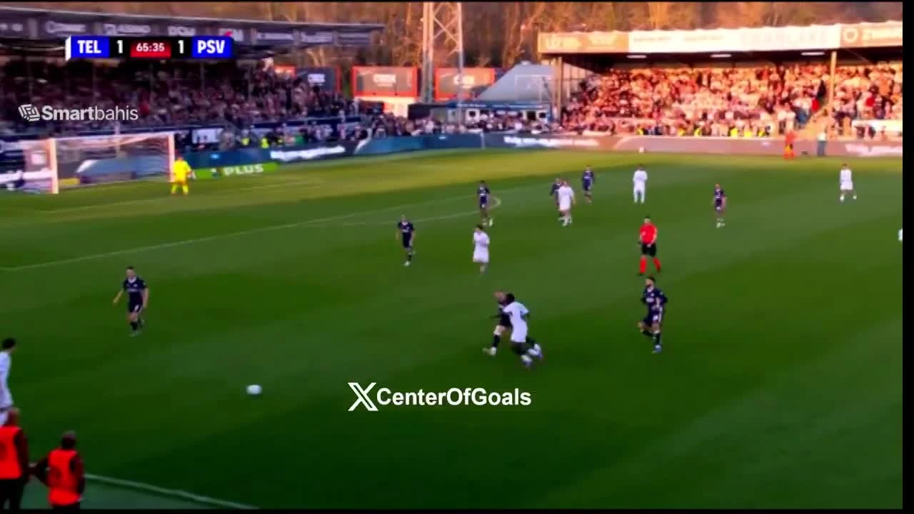 zaslepka skrotu video