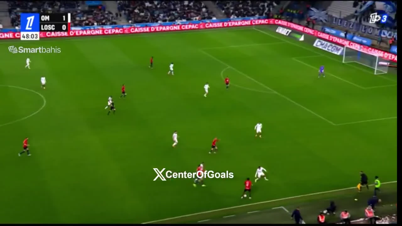 zaslepka skrotu video