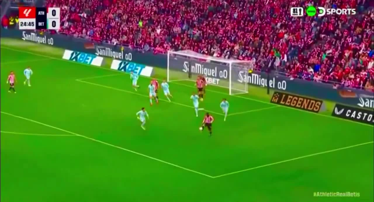 zaslepka skrotu video