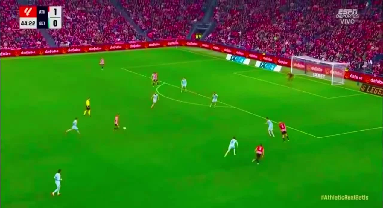 zaslepka skrotu video