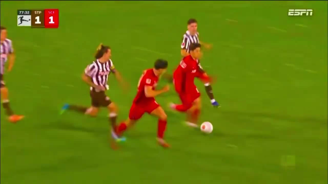 zaslepka skrotu video