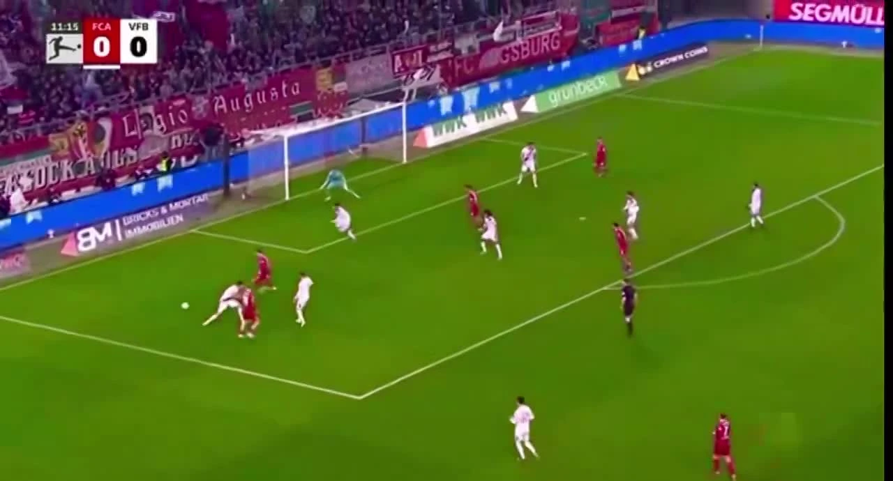 zaslepka skrotu video