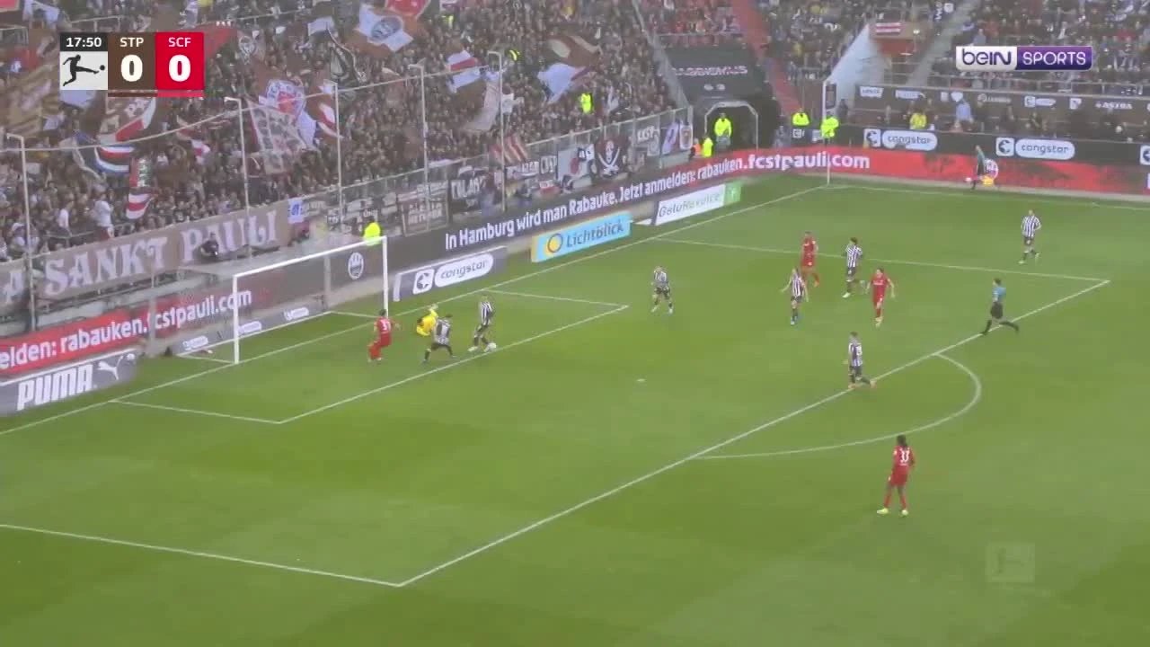 zaslepka skrotu video