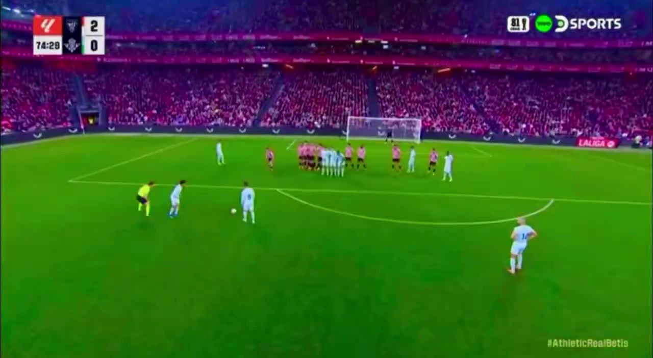 zaslepka skrotu video