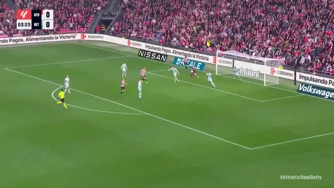 zaslepka skrotu video