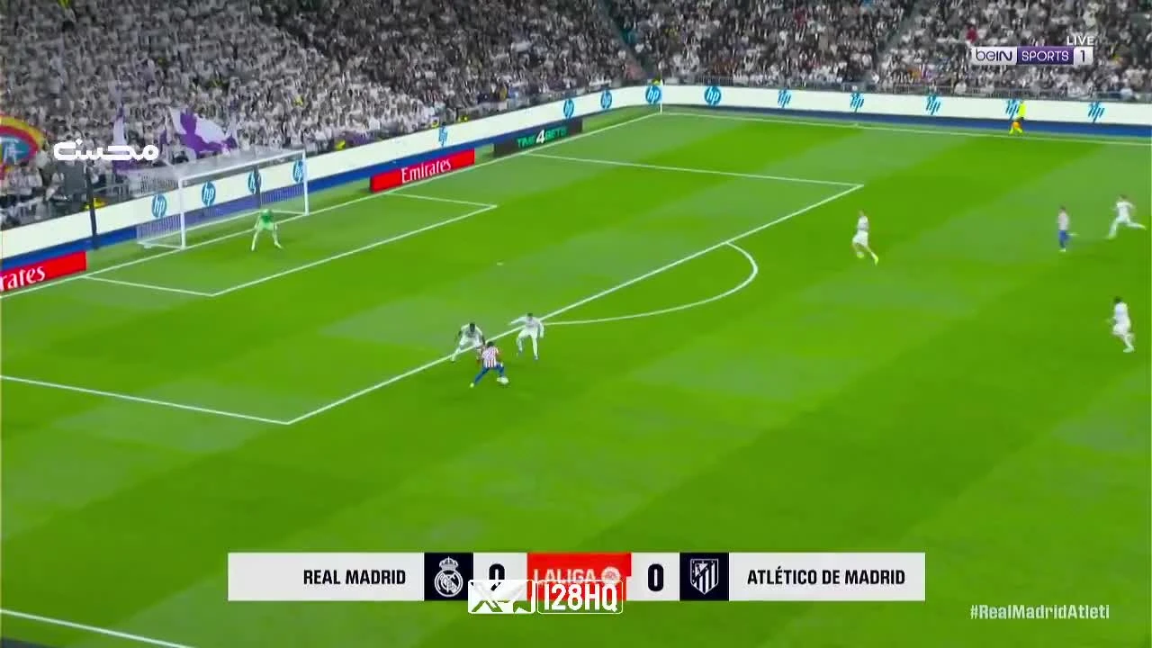 zaslepka skrotu video