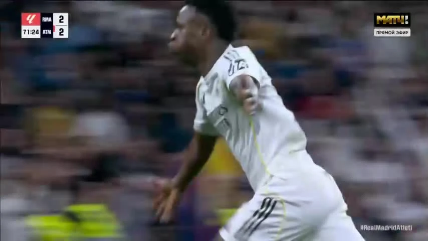 zaslepka skrotu video