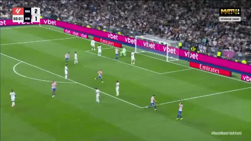 zaslepka skrotu video