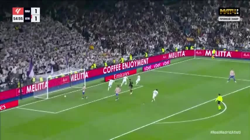 zaslepka skrotu video