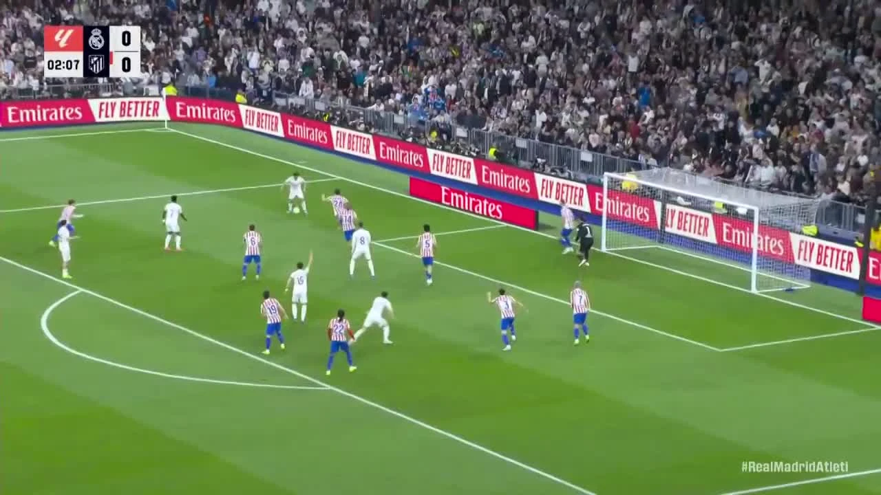 zaslepka skrotu video