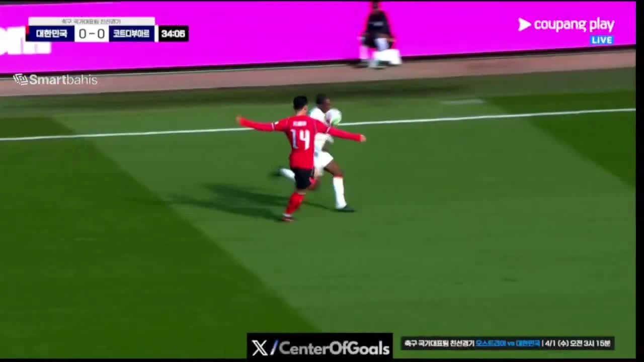 zaslepka skrotu video