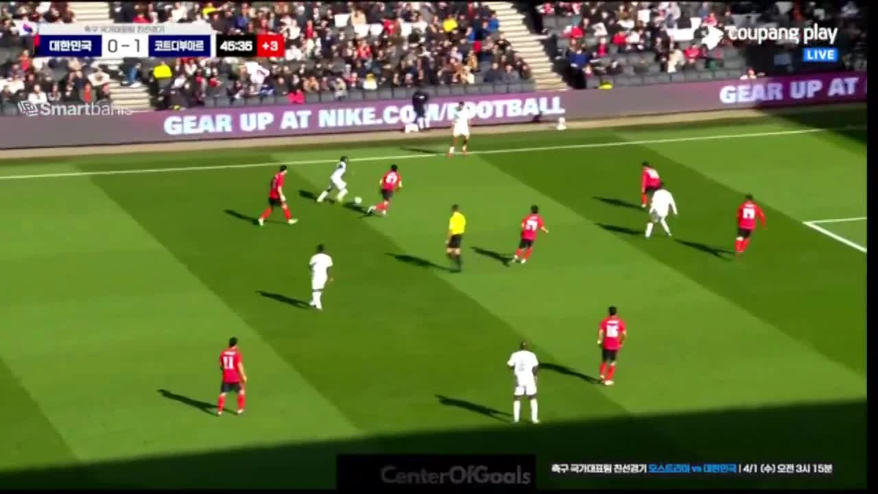 zaslepka skrotu video