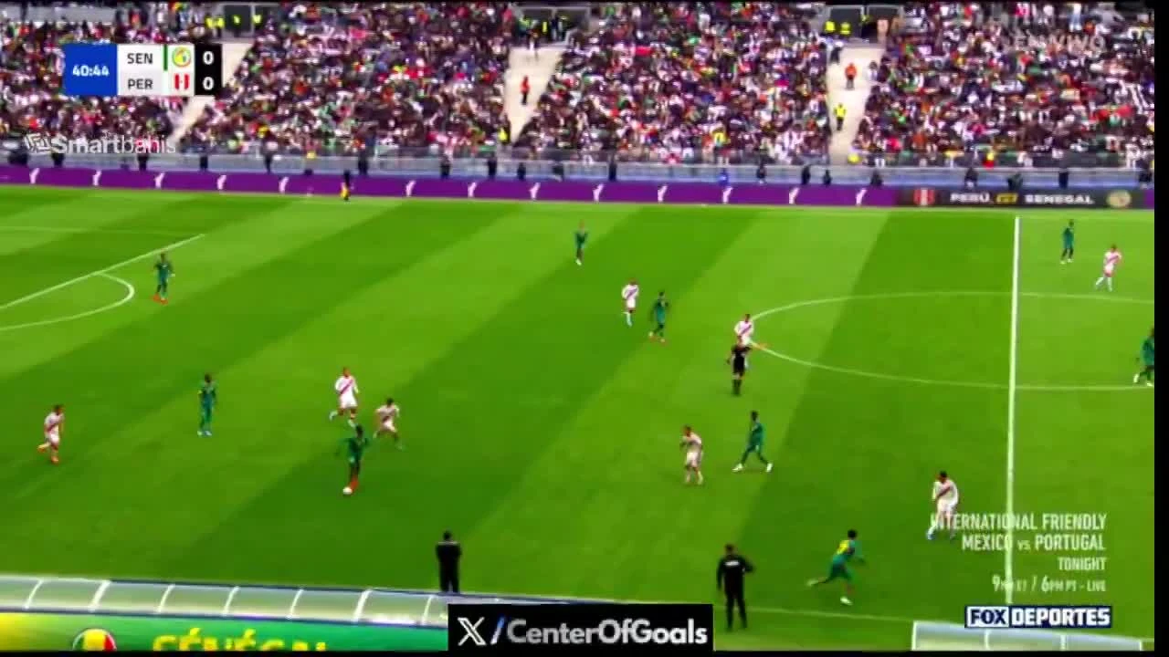 zaslepka skrotu video