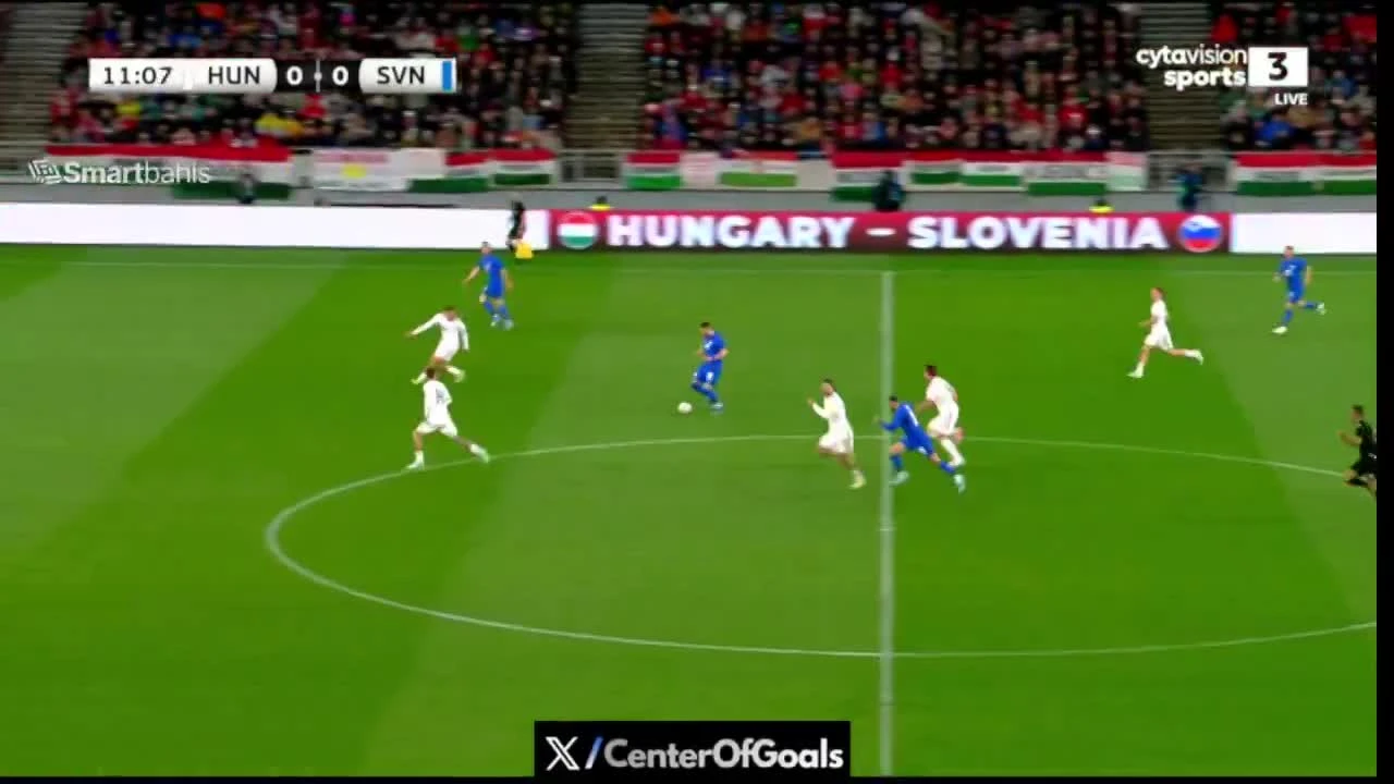 zaslepka skrotu video