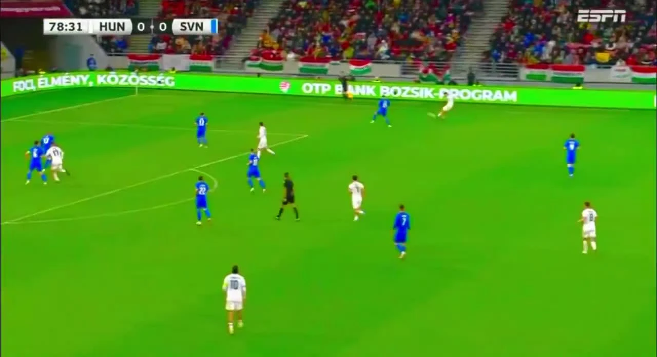 zaslepka skrotu video