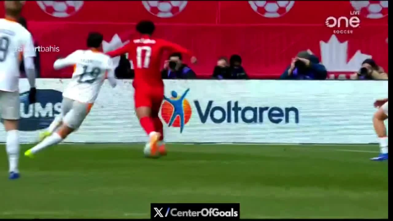 zaslepka skrotu video