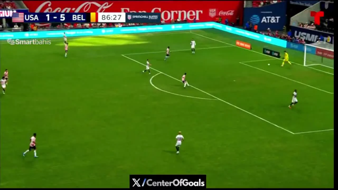 zaslepka skrotu video