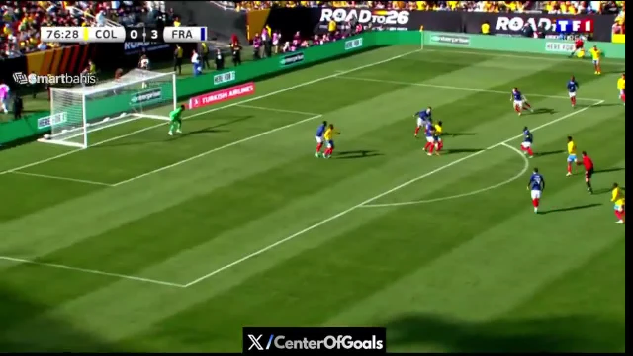 zaslepka skrotu video