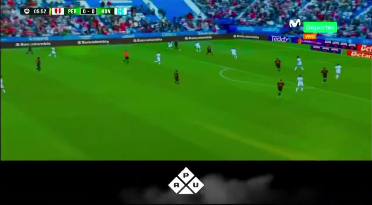 zaslepka skrotu video