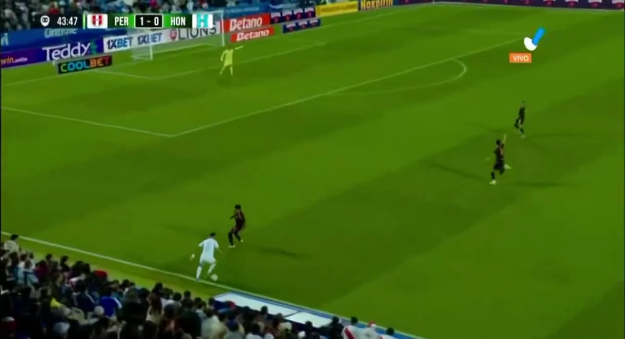 zaslepka skrotu video