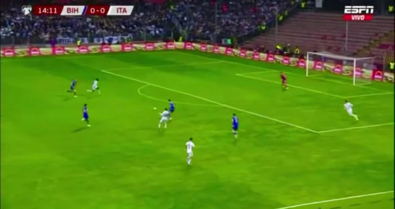 zaslepka skrotu video