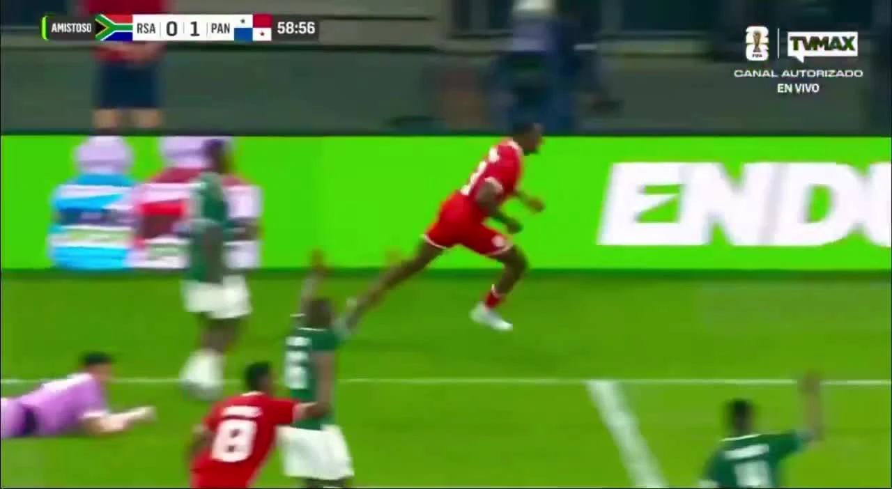 zaslepka skrotu video