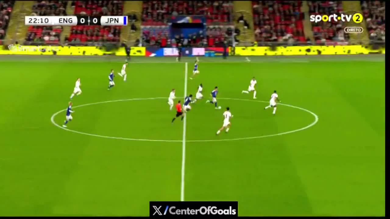 zaslepka skrotu video