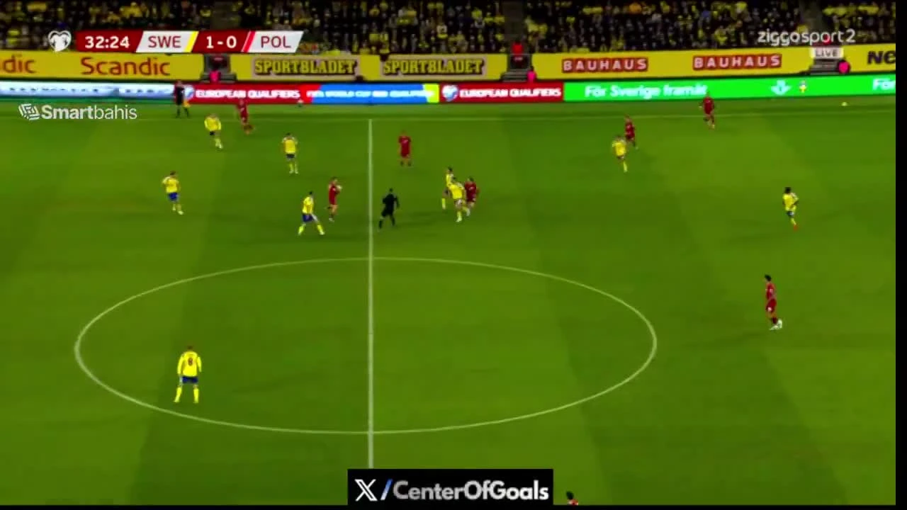 zaslepka skrotu video