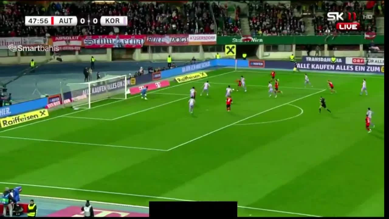 zaslepka skrotu video