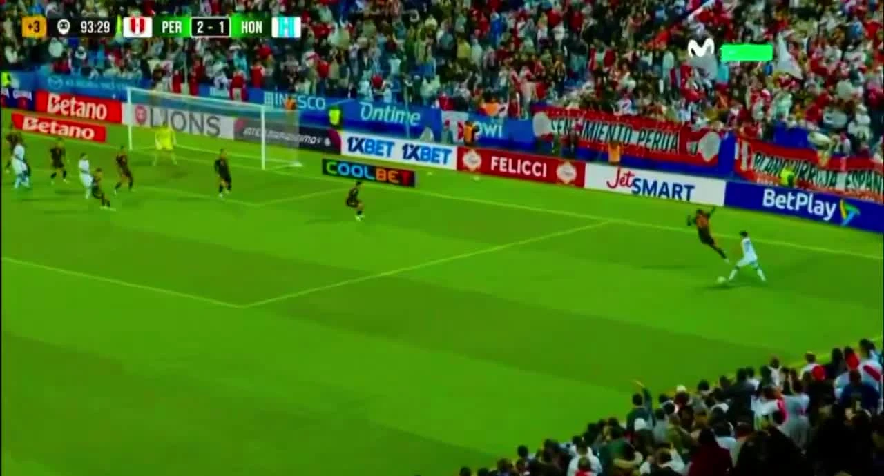 zaslepka skrotu video