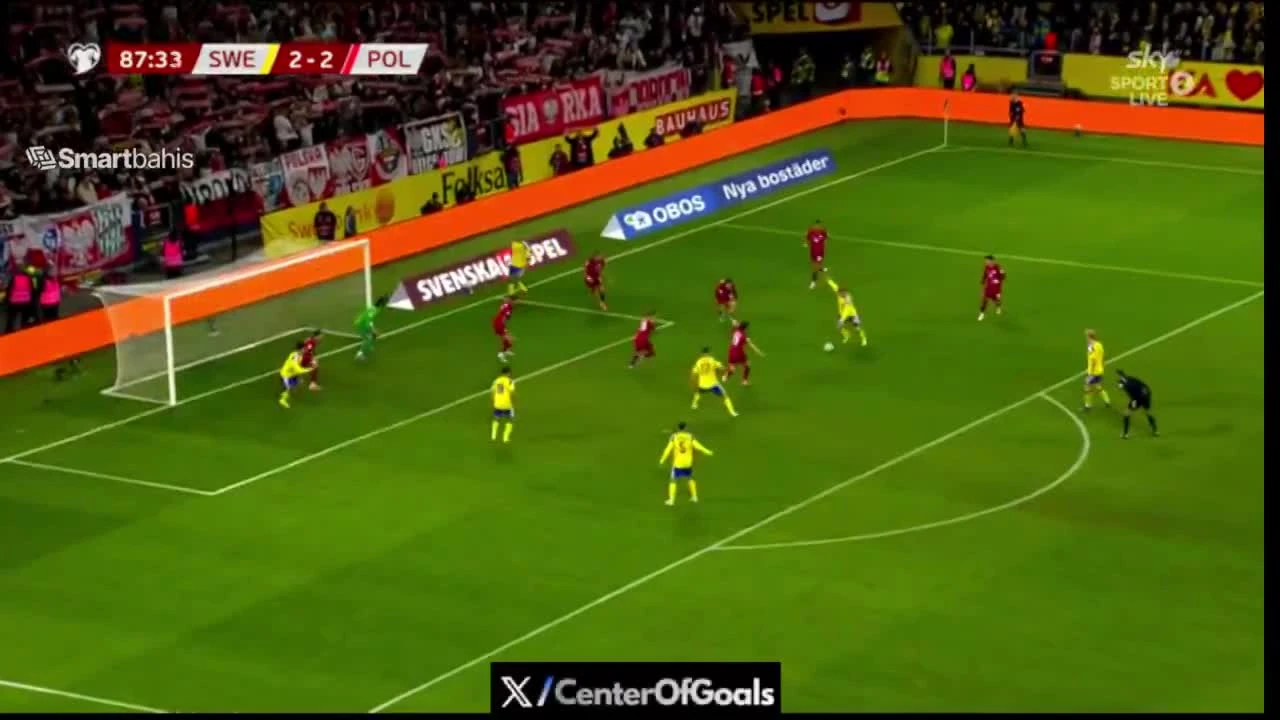 zaslepka skrotu video