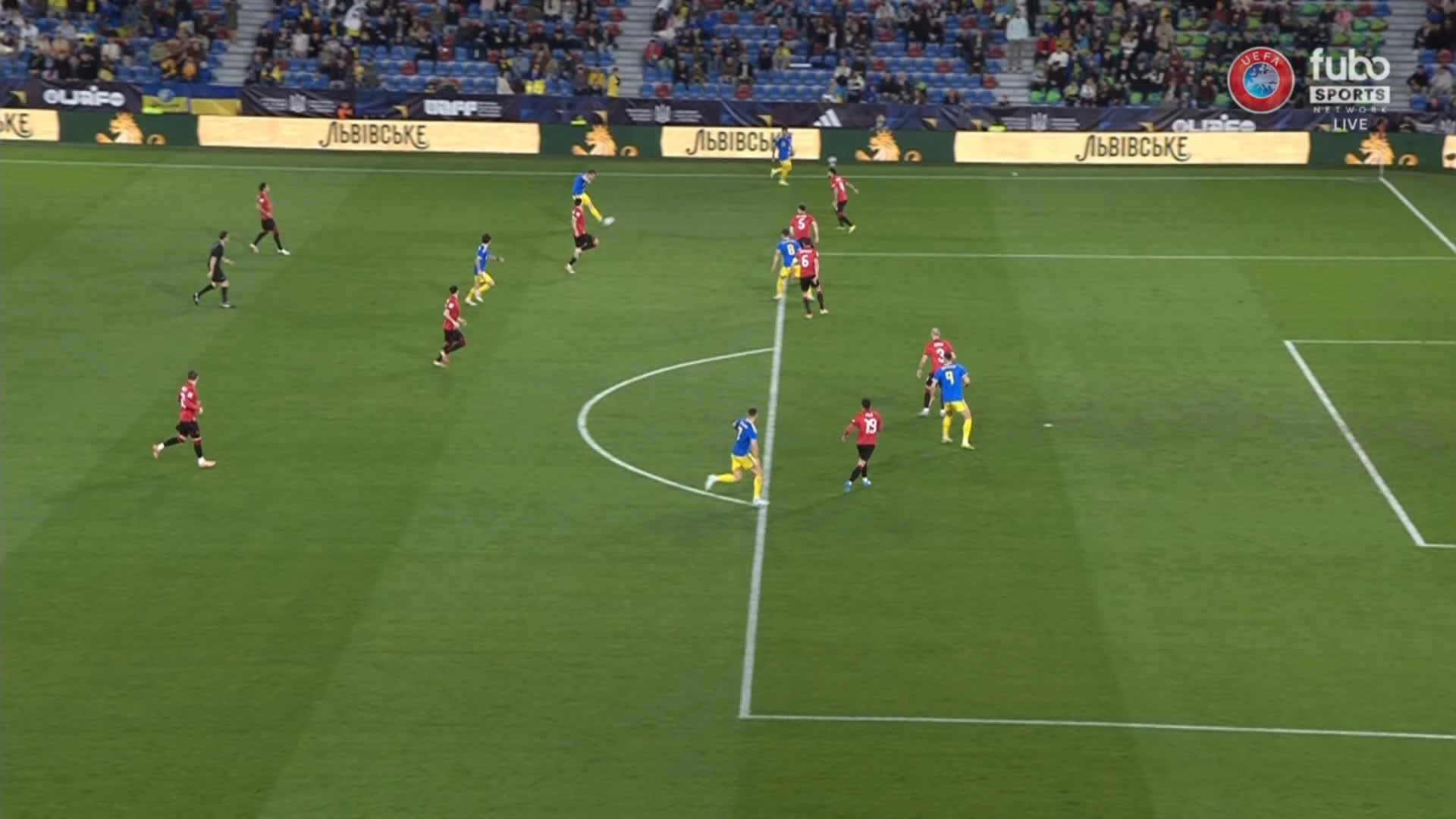 zaslepka skrotu video