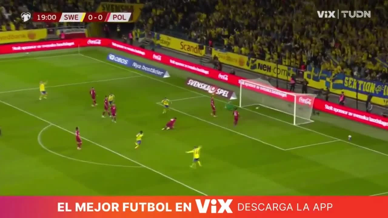 zaslepka skrotu video