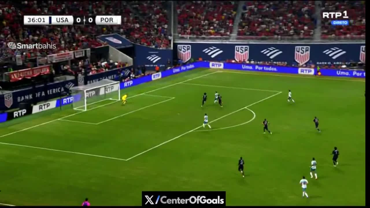 zaslepka skrotu video