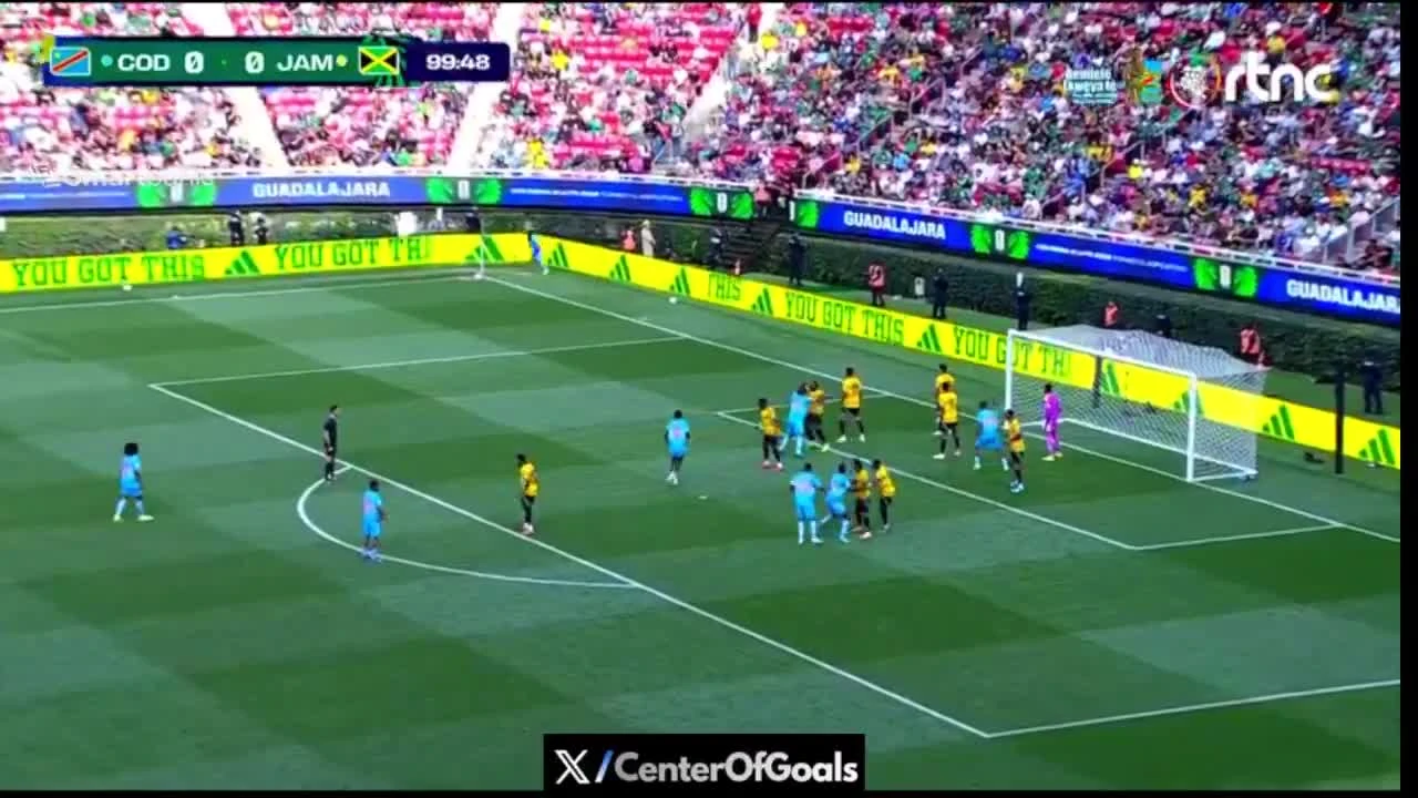 zaslepka skrotu video