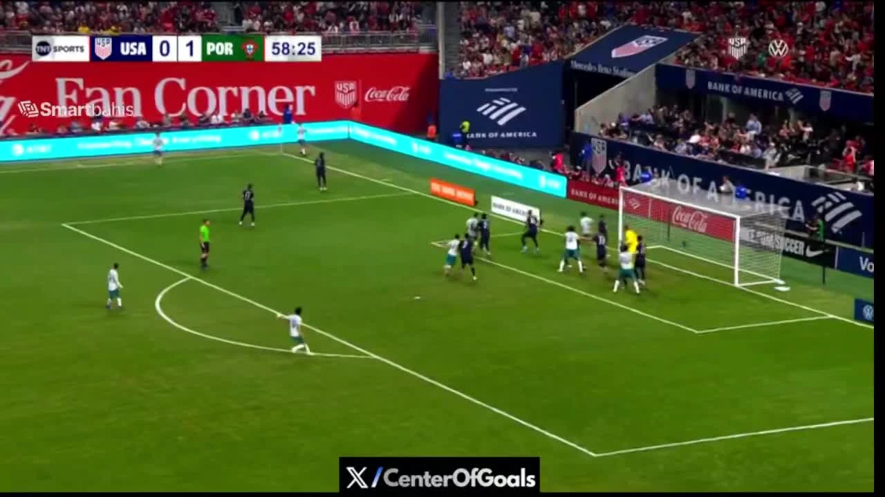 zaslepka skrotu video