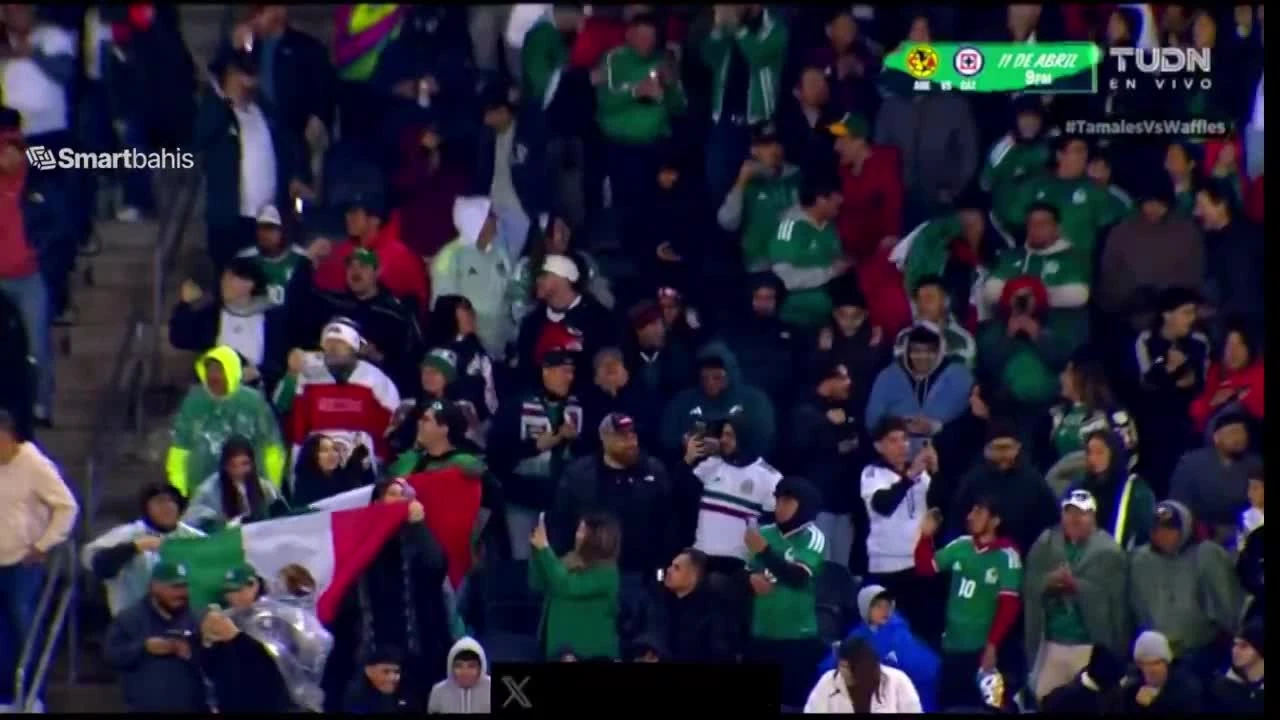 zaslepka skrotu video