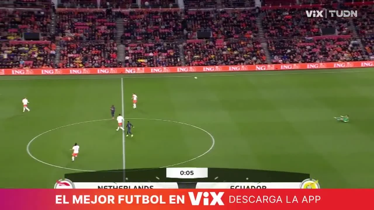 zaslepka skrotu video