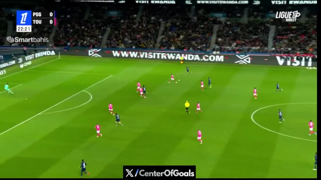 zaslepka skrotu video