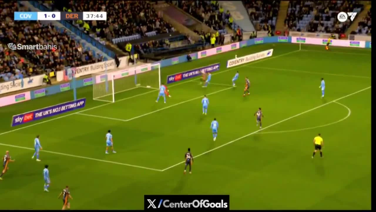 zaslepka skrotu video